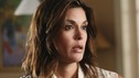 DESPERATE HOUSEWIVES - "Color and Light" - Gabrielle revisits her past when old friends come to town, Morty (guest star Bob Newhart) helps Susan out of a jam, and the Scavos learn more about the new neighbors, on "Desperate Housewives," SUNDAY, NOVEMBER 13th (9:00-10:01 p.m., ET) on the ABC Television Network. (ABC/DANNY FELD) TERI HATCHER
