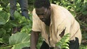 LOST - "The 23rd Psalm" - Mr. Eko interrogates Charlie about the Virgin Mary statue, Claire begins to lose faith in Charlie when she discovers his secret, and Jack is an interested observer when Kate gives the recovering Sawyer a much-needed haircut, on "Lost," WEDNESDAY, JANUARY 11 (9:00-10:00 p.m., ET), on the ABC Television Network. (ABC/MARIO PEREZ) DOMINIC MONAGHAN, ADEWALE AKINNUOYE-AGBAJE