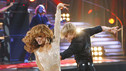 DANCING WITH THE STARS THE RESULTS SHOW - "Episode 902A" - Disney Channel star Selena Gomez performed "Falling Down" with her band, Selena Gomez & The Scene, from their debut album, "Kiss & Tell," released September 29, 2009 on Hollywood Records. They were accompanied on the stage by professional "Dancing with the Stars" dancers Derek Hough and Karina Smirnoff, on "Dancing with the Stars the Results Show," TUESDAY, SEPT. 29 (9:00-10:00 p.m., ET), on the ABC Television Network. (ABC/ADAM LARKEY) SELENA GOMEZ, KARINA SMIRNOFF, DEREK HOUGH
