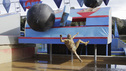 "Spring Wipeout: The Wizard of Owws" - Episode 412 "For years, bowling has lacked one crucial element &mdsh; full body contact. 'Wipeout' corrects that oversight, bringing an entirely new meaning to the phrase STRIKE!," says Host John Henson. Spring is in the air and a fresh crop of contestants will have to take a stand as they face the new obstacle, "Bowled Over." Plus, there'll be 'oohs', 'ahhs' and 'owws' heard on the course when the Chocolate Shop leaves its mark on players in the Wipeout Kitchen. Once the field is narrowed to six individuals indulging in Wipeout surprises, three will see their day come to an end on an Arabian Nights-themed challenge &nbsp; Photography by: Mike Weaver