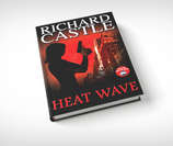 Castle's best-selling thriller