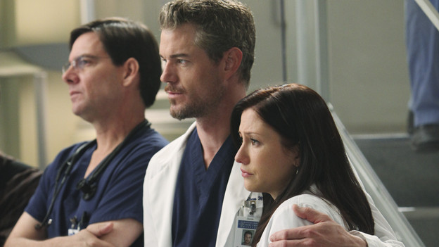 Things were starting to turn for Lexie; Mark even confessed that he still loved her. That's when tragedy in the form of violence invaded Seattle Grace. A gunman entered the hospital and started shooting up the place. Almost anyone was fair game for the shooter, but one of the main targets was Lexie. Lexie and Mark discover that Alex was hit while on their way to find a safe place to hide. They had to act fast to save his life and performed surgery on him in a conference room. The incident ended only after the shooter committed suicide. Lexie tried to move on after the incident, but Mark had to admit her to the psych ward after she had a nervous breakdown during one of her shifts. 