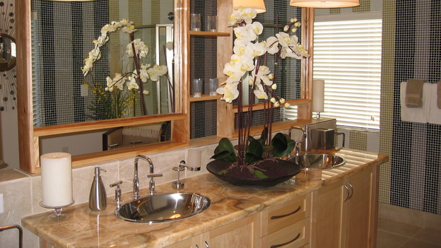 EXTREME MAKEOVER HOME EDITION - "Riggins Family," -  Bathrooms, on "Extreme Makeover Home Edition," Sunday, January 21th on the ABC Television Network.
