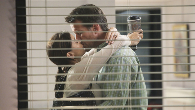 DESPERATE HOUSEWIVES - "Being Alive" - A pall is cast over Wisteria Lane in the wake of a brutal attack, on "Desperate Housewives," SUNDAY, OCTOBER 4 (9:00-10:01 p.m., ET) on the ABC Television Network. As the citizens of Fairview try to make sense of a recent attack in their neighborhood, Lynette withholds a secret from Susan, Gaby gives niece Ana advice on how to get a guy's attention, Bree worries how her affair with Karl will affect her friendship with Susan, and Angie is determined to protect her son and her family's past. (ABC/DANNY FELD)TERI HATCHER, JAMES DENTON