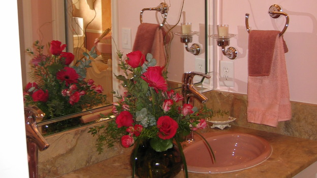 EXTREME MAKEOVER HOME EDITION - "Riggins Family," -  Bathrooms, on "Extreme Makeover Home Edition," Sunday, January 21th on the ABC Television Network.