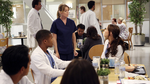 GREY'S ANATOMY - "Going Going Gone" - The doctors of Seattle Grace are faced with the aftermath of last season's plane crash. As they try to move on with their lives, they must learn to adapt to the changes, cope with their losses and move forward with their relationships and careers, on the ninth-season premiere of "Grey's Anatomy," THURSDAY, SEPTEMBER 27 (9:00-10:02 p.m., ET) on the ABC Television Network. (ABC/DANNY FELD)GAIUS CHARLES, ELLEN POMPEO, CAMILLA LUDDINGTON