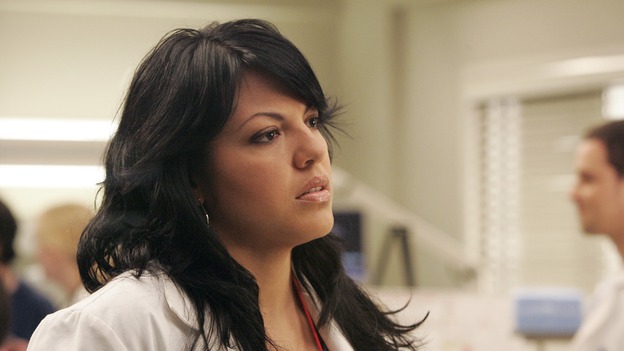 GREY'S ANATOMY - "Walk on Water" - Beginning February 8, Grey's Anatomy enters a three-episode story arc that will challenge the interns of Seattle Grace -- and "Grey's" fans as well -- like never before. "Walk on Water" airs THURSDAY, FEBRUARY 8 (9:00-10:00 p.m., ET) on the ABC Television Network. Elizabeth Reaser (Independent Spirit Award winner for "Sweet Land") guest stars as a patient over multiple episodes. (ABC/VIVIAN ZINK)SARA RAMIREZ