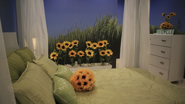 EXTREME MAKEOVER HOME EDITION - "Heathcock Family," - Nature Room, on "Extreme Makeover Home Edition," Sunday, March 21st on the ABC Television Network.