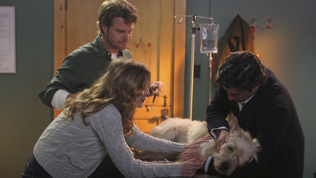 GREY'S ANATOMY - In the first hour of part two of the season finale of ABC's "Grey's Anatomy" -- "Deterioration of the Fight or Flight Response" -- Izzie and George attend to Denny as the pressure increases to find him a new heart, Cristina suddenly finds herself in charge of an ER, and Derek grapples with the realization that the life of a friend is in his hands. In the second hour, "Losing My Religion," Richard goes into interrogation mode about a patient's condition, Callie confronts George about his feelings for her, and Meredith and Derek meet about Doc. Part two of the season finale of "Grey's Anatomy" airs MONDAY, MAY 15 (9:00-11:00 p.m., ET) on the ABC Television Network. (ABC/MICHAEL DESMOND)CHRIS O'DONNELL, ELLEN POMPEO, PATRICK DEMPSEY