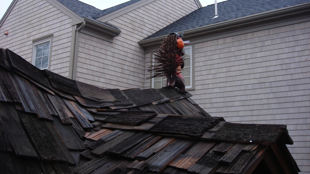 EXTREME MAKEOVER HOME EDITION - "Silva Family," - Exterior, on "Extreme Makeover Home Edition," Sunday, May 4th on the ABC Television Network.