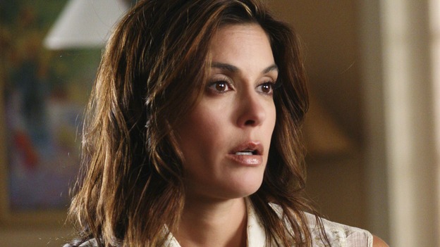 DESPERATE HOUSEWIVES - "Color and Light" - Gabrielle revisits her past when old friends come to town, Morty (guest star Bob Newhart) helps Susan out of a jam, and the Scavos learn more about the new neighbors, on "Desperate Housewives," SUNDAY, NOVEMBER 13th (9:00-10:01 p.m., ET) on the ABC Television Network. (ABC/DANNY FELD) TERI HATCHER