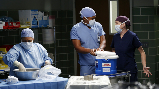 GREY'S ANATOMY - "Walking on a Dream" - The Seattle Grace doctors are on edge when a new medical professional enters the hospital; Arizona struggles with the emotional and physical pain of a phantom limb; and while battling pregnancy hormones, an overly-emotional Meredith is confronted with her worst fear, on "Grey's Anatomy," THURSDAY, JANUARY 24 (9:00-10:02 p.m., ET) on the ABC Television Network. (ABC/KELSEY MCNEAL)CHANDRA WILSON, GAIUS CHARLES, ELLEN POMPEO