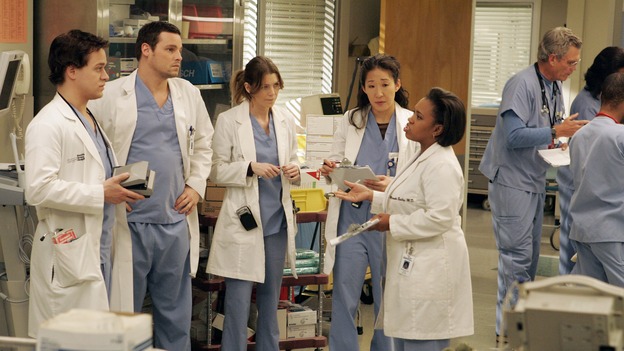 GREY'S ANATOMY - "Walk on Water" - Beginning February 8, Grey's Anatomy enters a three-episode story arc that will challenge the interns of Seattle Grace -- and "Grey's" fans as well -- like never before. "Walk on Water" airs THURSDAY, FEBRUARY 8 (9:00-10:00 p.m., ET) on the ABC Television Network. Elizabeth Reaser (Independent Spirit Award winner for "Sweet Land") guest stars as a patient over multiple episodes. (ABC/VIVIAN ZINK)T.R. KNIGHT, JUSTIN CHAMBERS, ELLEN POMPEO, SANDRA OH, CHANDRA WILSON