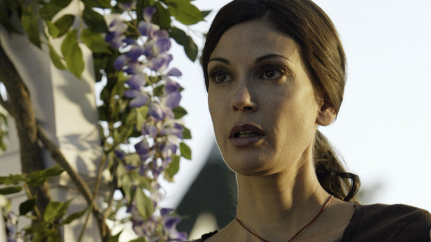 DESPERATE HOUSEWIVES -  (ABC/PETER "HOPPER" STONE) TERI HATCHER