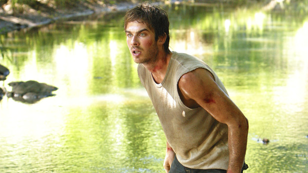 LOST - "Hearts and Minds" - When Locke learns that Boone wants to tell their "secret" to Shannon, Shannon's life is placed in sudden peril, and the shocking truth about her past with Boone is revealed. Meanwhile, Kate is puzzled by Sun's mysterious behavior, and a hungry Hurley must repay a debt to Jin, on "Lost," WEDNESDAY, JANUARY 12 (8:00-9:00 p.m., ET), on the ABC Television Network. IAN SOMERHALDER