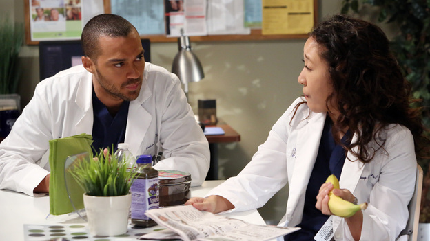 GREY'S ANATOMY - "The End is the Beginning is the End" - Meredith, Derek, Cristina and Arizona receive big news regarding the plane crash lawsuit, Richard avoids Catherine's romantic advances and Jackson takes on one of Mark Sloane's old patients. Meanwhile, Derek begins recovery on his hand, on "Grey's Anatomy," THURSDAY, JANUARY 17 (9:00-10:02 p.m., ET) on the ABC Television Network. (ABC/DANNY FELD)JESSE WILLIAMS, SANDRA OH