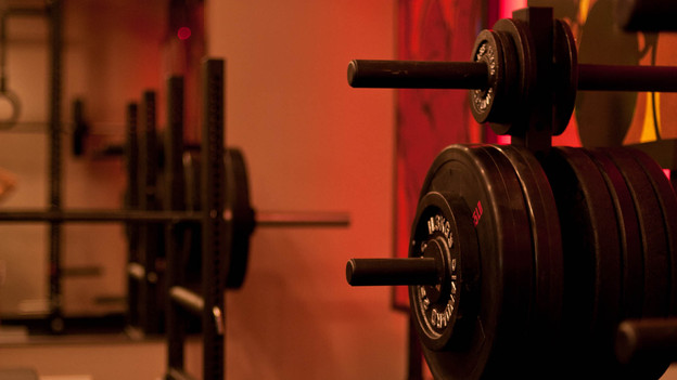 EXTREME MAKEOVER HOME EDITION - "Rhodes Family," -&nbsp;Workout Room Picture, on "Extreme Makeover Home Edition," Friday, December 16th (8:00-10:00 p.m. ET/PT) on the ABC Television Network.