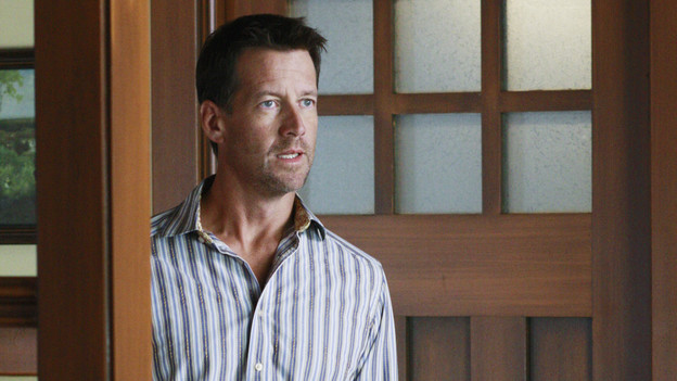 DESPERATE HOUSEWIVES - "Would I Think of Suicide?" - The residents of Fairview learn the hard way that the world is a dangerous place, on ABC's "Desperate Housewives," SUNDAY, NOVEMBER 29(9:00-10:01 p.m., ET). In the wake of another attack, Angie decides the time has come for her and her family to leave Wisteria Lane; Bree and Susan are literally up in arms with one another as Bree's affair with Karl becomes increasingly difficult to hide; Lynette's pregnancy causes a rift with Gaby; and a confrontation between Mike and Katherine leads to a harmful and unexpected blow. (ABC/RON TOM)JAMES DENTON