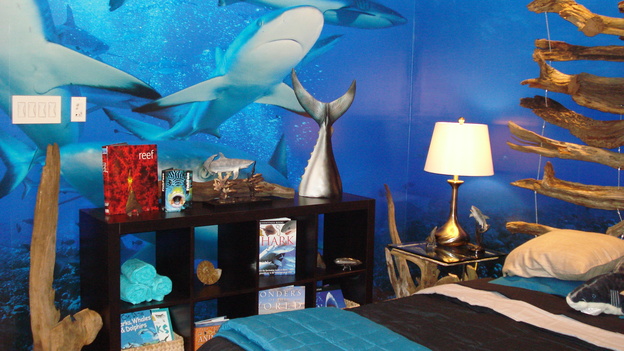 EXTREME MAKEOVER HOME EDITION - "Latif Family," - Boy's Bedroom&nbsp;Details, on "Extreme Makeover Home Edition," Sunday, March 30th on the ABC Television Network.