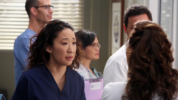 GREY'S ANATOMY - "The End is the Beginning is the End" - Meredith, Derek, Cristina and Arizona receive big news regarding the plane crash lawsuit, Richard avoids Catherine's romantic advances and Jackson takes on one of Mark Sloane's old patients. Meanwhile, Derek begins recovery on his hand, on "Grey's Anatomy," THURSDAY, JANUARY 17 (9:00-10:02 p.m., ET) on the ABC Television Network. (ABC/DANNY FELD)SANDRA OH