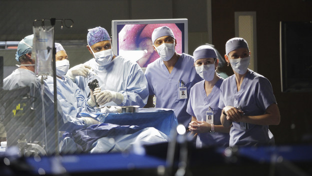GREY'S ANATOMY - "Adrift and at Peace" - Despite Meredith's objections to the idea, a concerned Derek takes Cristina on a fishing trip in order to get away from it all, while Teddy, feeling directionless without Cristina, directs all of her efforts and compassion towards a dying patient (played by Scott Foley) who lacks the proper insurance to seek medical treatment, on "Grey's Anatomy," THURS., DECEMBER 2 (9:00-10:01 p.m., ET) on the ABC Television Network. (ABC/ADAM TAYLOR)CHANDRA WILSON, JAMES PICKENS JR., JESSE WILLIAMS, SARAH DREW, CHYLER LEIGH