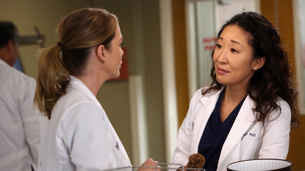 GREY'S ANATOMY - "The End is the Beginning is the End" - Meredith, Derek, Cristina and Arizona receive big news regarding the plane crash lawsuit, Richard avoids Catherine's romantic advances and Jackson takes on one of Mark Sloane's old patients. Meanwhile, Derek begins recovery on his hand, on "Grey's Anatomy," THURSDAY, JANUARY 17 (9:00-10:02 p.m., ET) on the ABC Television Network. (ABC/DANNY FELD)ELLEN POMPEO, SANDRA OH