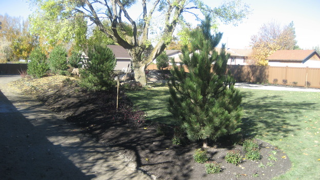 EXTREME MAKEOVER HOME EDITION - "Pauni Family," - Landscaping, on "Extreme Makeover Home Edition," Sunday, November 26th on the ABC Television Network.