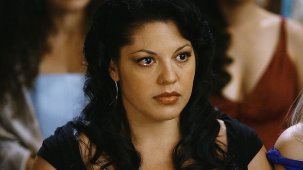 GREY'S ANATOMY - "What a Difference a Day Makes" - Callie watches the wedding of Izzie and Alex, on "Grey's Anatomy,"&nbsp;THURSDAY, MAY 7 (9:00-10:02 p.m., ET) on the ABC Television Network. (ABC/SCOTT GARFIELD) SARA RAMIREZ