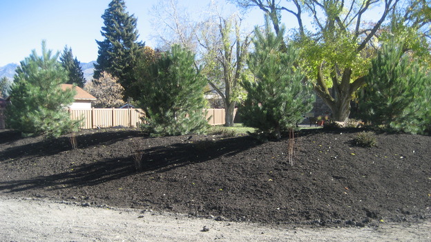 EXTREME MAKEOVER HOME EDITION - "Pauni Family," - Landscaping, on "Extreme Makeover Home Edition," Sunday, November 26th on the ABC Television Network.