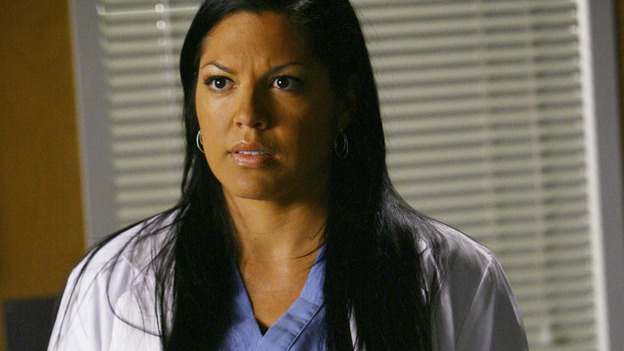 GREY'S ANATOMY - "Dream a Little Dream of Me" - On the two-hour season premiere of "Grey's Anatomy," Meredith and Derek learn that "happily ever after" isn't easy, a military doctor who brings in a trauma patient catches Cristina's eye, and the Chief and his staff reel at the news that Seattle Grace is no longer nationally ranked as a top-tier teaching hospital, on "Grey's Anatomy," THURSDAY, SEPTEMBER 25 (9:00-11:00 p.m., ET) on the ABC Television Network. (ABC/SCOTT GARFIELD)SARA RAMIREZ