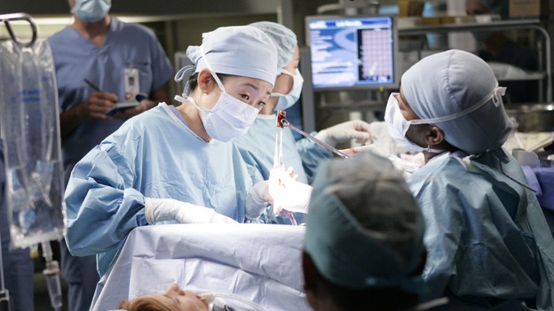 GREY'S ANATOMY - "Owner of a Lonely Heart" (ABC/CRAIG SJODIN)SANDRA OH, CHANDRA WILSON