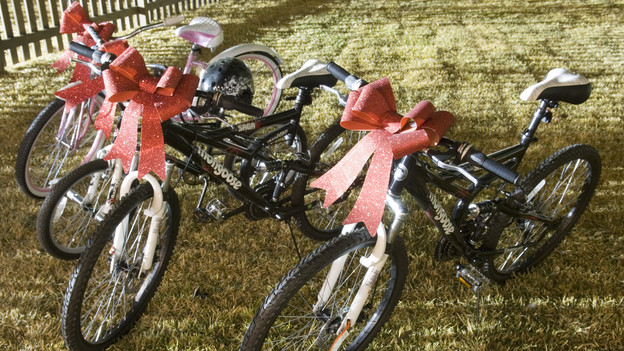 EXTREME MAKEOVER HOME EDITION - "Gaston Family," - Accessory  Picture, on  "Extreme Makeover Home Edition," Sunday, December 12th  (8:00-9:00 p.m.  ET/PT) on the ABC Television Network.