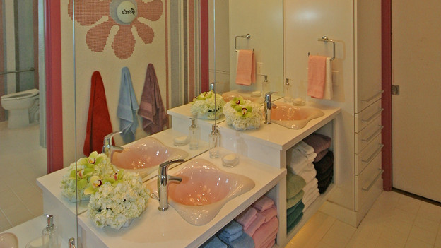 EXTREME MAKEOVER HOME EDITION - "Carr Family," - Bathroom, on "Extreme Makeover Home Edition," Sunday, May 2nd (8:00-9:00 p.m. ET/PT) on the ABC Television Network.