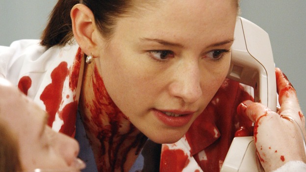 GREY'S ANATOMY - "Crash Into Me, -- Part Two" - In the stunning conclusion of a two-part episode, Meredith furiously works to save the life of a paramedic trapped inside an ambulance, as her sister, Lexie, holds the life of a patient in her hands; Derek must rely on the help of a nurse to save a patient's life, as Bailey struggles to balance her personal life with her work, on "Grey's Anatomy," THURSDAY, DECEMBER 6 (9:00-10:02 p.m., ET) on the ABC Television Network.  (ABC/VIVIAN ZINK)SETH GREEN, CHYLER LEIGH