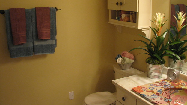 EXTREME MAKEOVER HOME EDITION - "Tipton-Smith Family," - Bathroom, on "Extreme Makeover Home Edition," Sunday, March 11th on the ABC Television Network.