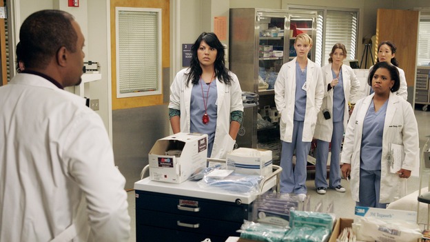 GREY'S ANATOMY - "Walk on Water" - Beginning February 8, Grey's Anatomy enters a three-episode story arc that will challenge the interns of Seattle Grace -- and "Grey's" fans as well -- like never before. "Walk on Water" airs THURSDAY, FEBRUARY 8 (9:00-10:00 p.m., ET) on the ABC Television Network. Elizabeth Reaser (Independent Spirit Award winner for "Sweet Land") guest stars as a patient over multiple episodes. (ABC/VIVIAN ZINK)JAMES PICKENS, JR., SARA RAMIREZ, KATHERINE HEIGL, ELLEN POMPEO, SANDRA OH, CHANDRA WILSON