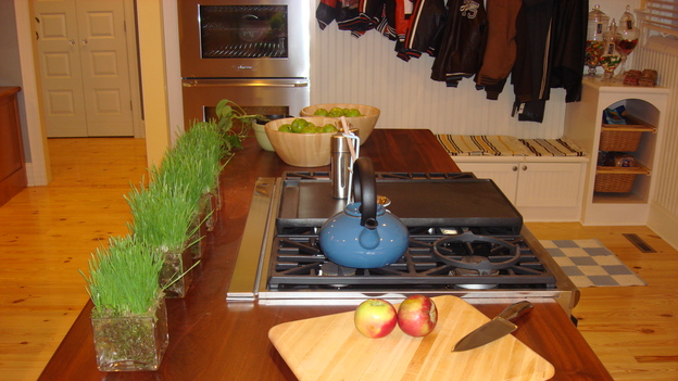 EXTREME MAKEOVER HOME EDITION - "Silva Family," - Kitchen Detail, on "Extreme Makeover Home Edition," Sunday, May 4th on the ABC Television Network.
