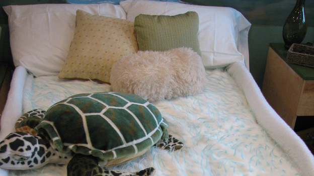 EXTREME MAKEOVER HOME EDITION - "Rogers Family," - Girl's Bedroom Detail, on "Extreme Makeover Home Edition," Sunday, September 24th on the ABC Television Network.