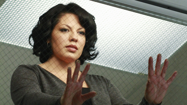 GREY'S ANATOMY - "Song Beneath the Song" - In a series first, the music that has been at the heart of the show and been beloved by fans comes to life for Grey's Anatomy: The Music Event. A cataclysmic event rattles the doctors of Seattle Grace to the core, as Callie, on the verge of an enormous life-changing moment with Arizona, envisions her hospital and friends as it has never-been-seen before. "Chasing Cars" (Snow Patrol), "How to Save a Life" (The Fray) and "The Story" (Brandi Carlile) are among the songs performed by the cast in one of the most special hours of "Greys Anatomy" yet, THURSDAY, MARCH 31 (9:00-10:01 p.m., ET) on the ABC Television Network. (ABC/RON TOM)SARA RAMIREZ