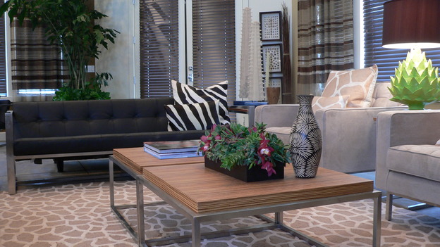 EXTREME MAKEOVER HOME EDITION - "Almquist Family," - Living Room, on "Extreme Makeover Home Edition," Sunday, March 29th on the ABC Television Network.