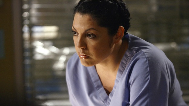 GREY'S ANATOMY - "Testing 1-2-3" - The interns take the biggest test of their careers, their first-year medical exams, as the residents attend to three injured mountain climbers. Meanwhile Callie's suspicions of George and Izzie grow, and Cristina struggles to write her wedding vows, on "Grey's Anatomy," THURSDAY, MAY 10 (9:00-10:01 p.m., ET) on the ABC Television Network. (ABC/SCOTT GARFIELD)SARA RAMIREZ