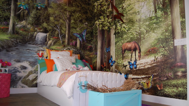 EXTREME MAKEOVER HOME EDITION - "Almquist Family," - Girl's Bedroom, on "Extreme Makeover Home Edition," Sunday, March 29th on the ABC Television Network.