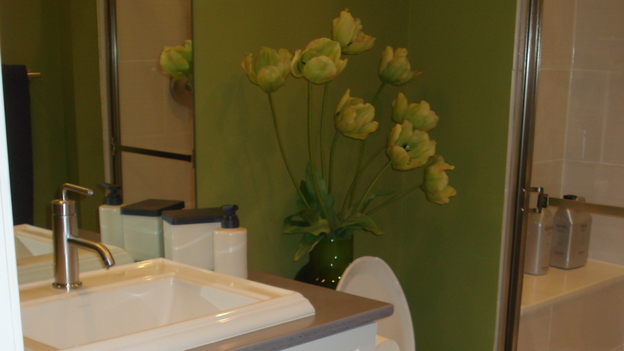 EXTREME MAKEOVER HOME EDITION - "Latif Family," - Bathroom, on "Extreme Makeover Home Edition," Sunday, March 30th on the ABC Television Network.