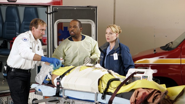 GREY'S ANATOMY - "Drowning on Dry Land" - "Grey's Anatomy's" three-episode story arc continues with a part two that will challenge the interns of Seattle Grace -- and "Grey's" fans as well -- like never before, THURSDAY, FEBRUARY 15 (9:00-10:01 p.m., ET) on the ABC Television Network. Elizabeth Reaser (Independent Spirit Award nominee for "Sweet Land") guest stars as a patient over multiple episodes. (ABC/CRAIG SJODIN)JAMES PICKENS, JR., KATHERINE HEIGL