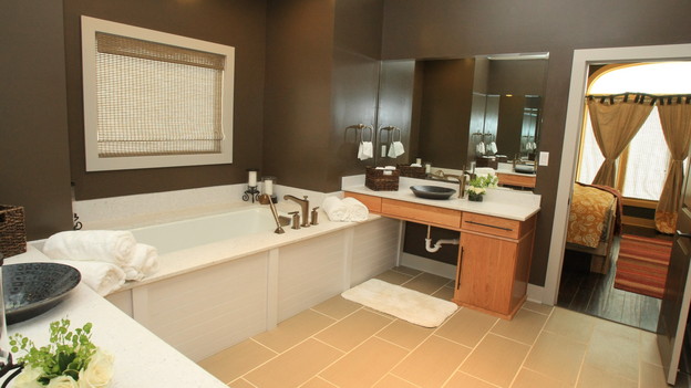 EXTREME MAKEOVER HOME EDITION - "Lampe Family," - Bathroom Picture,   on "Extreme Makeover Home Edition," Sunday, January 9th (8:00-9:00 p.m.   ET/PT) on the ABC Television Network.