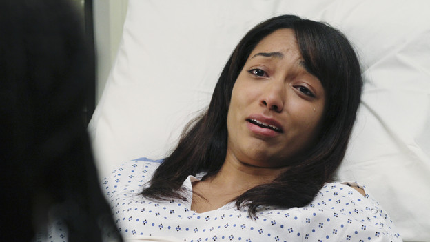 GREY'S ANATOMY - "The Time Warp" - In his new role as Chief, Derek restores the hospital lecture series, and Richard, Bailey and Callie present to the group pivotal surgical cases from their pasts - Bailey reflects on her first days as a shy resident, Callie looks back on a polio case, and Richard recalls a case in which he and Ellis worked on a patient diagnosed with GRID, a virus later called AIDS -- on "Grey's Anatomy," THURSDAY, FEBRUARY 18 (9:00-10:01 p.m., ET) on the ABC Television Network. (ABC/RON TOM) RACHEL NICKS