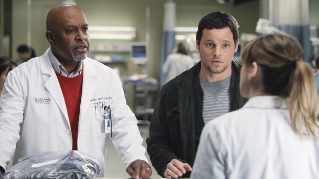 GREY'S ANATOMY - "Golden Hour" - Meredith, looking to prove she is Chief Resident material, learns that anything and everything can happen in an hour's time when she steps up to run the ER for a night; meanwhile, Bailey sneaks off with Eli and gets into a little mischief, and everyone is surprised when the Chief's wife, Adele, shows up as one of the ER patients, on "Grey's Anatomy," THURSDAY, FEBRUARY 17 (9:00-10:01 p.m., ET) on the ABC Television Network. (ABC/DANNY FELD)JAMES PICKENS JR., JUSTIN CHAMBERS, ELLEN POMPEO