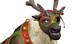 Dasher 